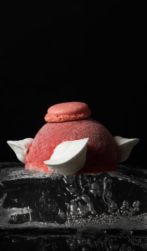 Cafe Munding Kuchen Torten Schokolade Pralinen